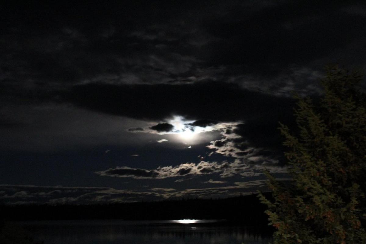 Lac Le Jeune Nature Resort Logan Lake Zewnętrze zdjęcie
