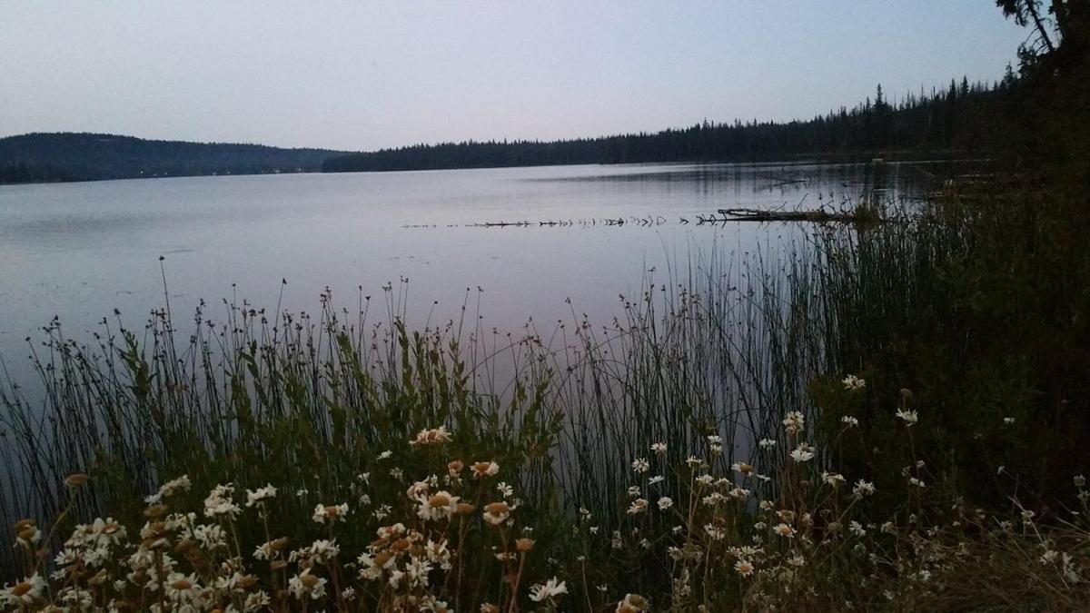 Lac Le Jeune Nature Resort Logan Lake Zewnętrze zdjęcie